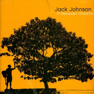 Jack Johnson - In Between Dreams